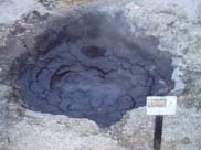 Rotorua - Hells Gate (Mud Pools)